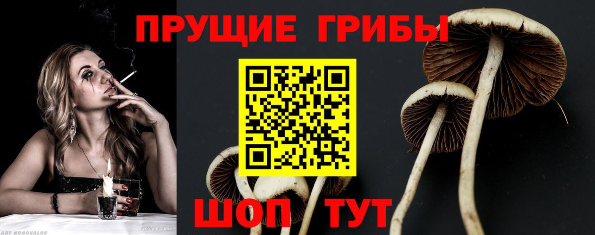 Шарыпово  Галлюциногенные грибы мухоморы  Вход с VPN 